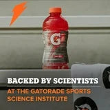 GATORADE - FRUIT PUNCH -20OZ (3X8 PK)