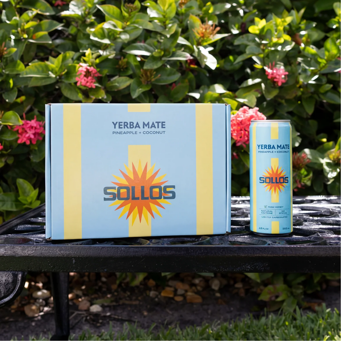 SOLLOS - YERBA MATE - PINEAPPLE AND COCONUT 12 PACK